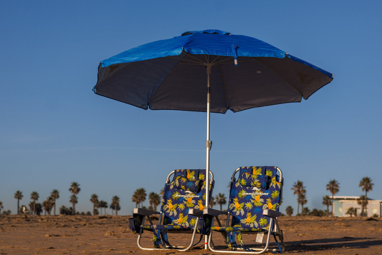 Beach Umbrella
