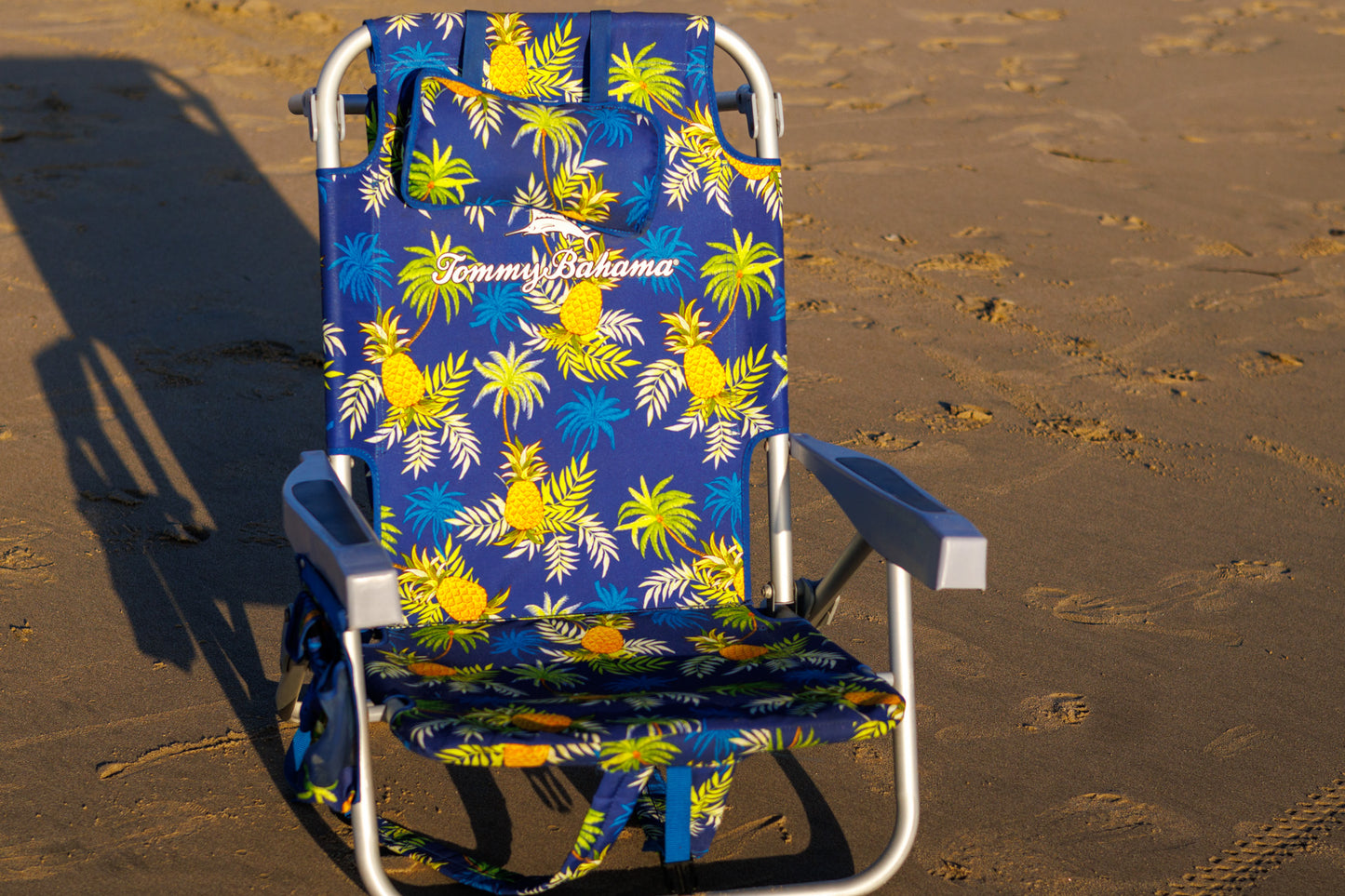 Beach Chair