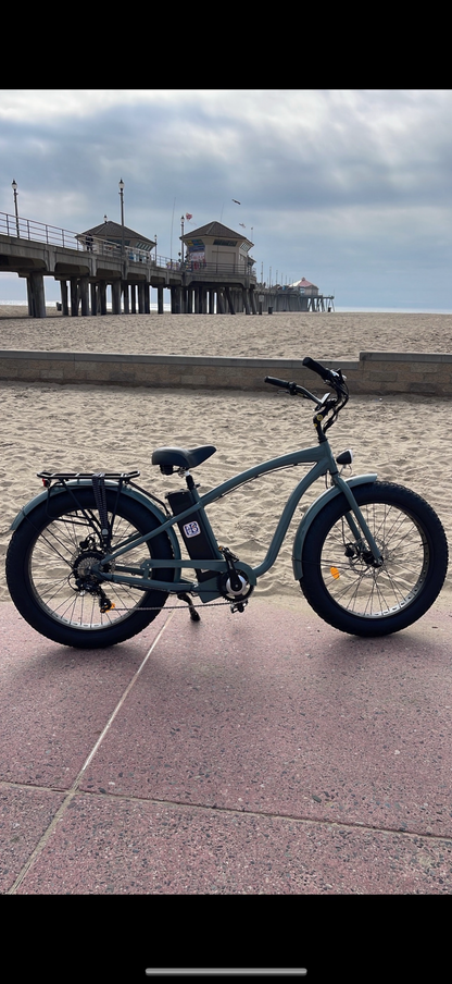 Electric Bicycle