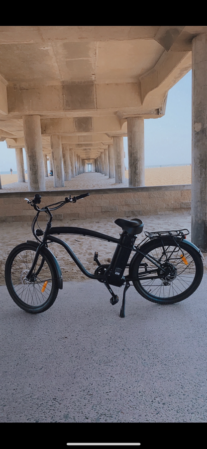 Electric Bicycle