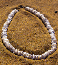 Load image into Gallery viewer, Sea Shell Necklace
