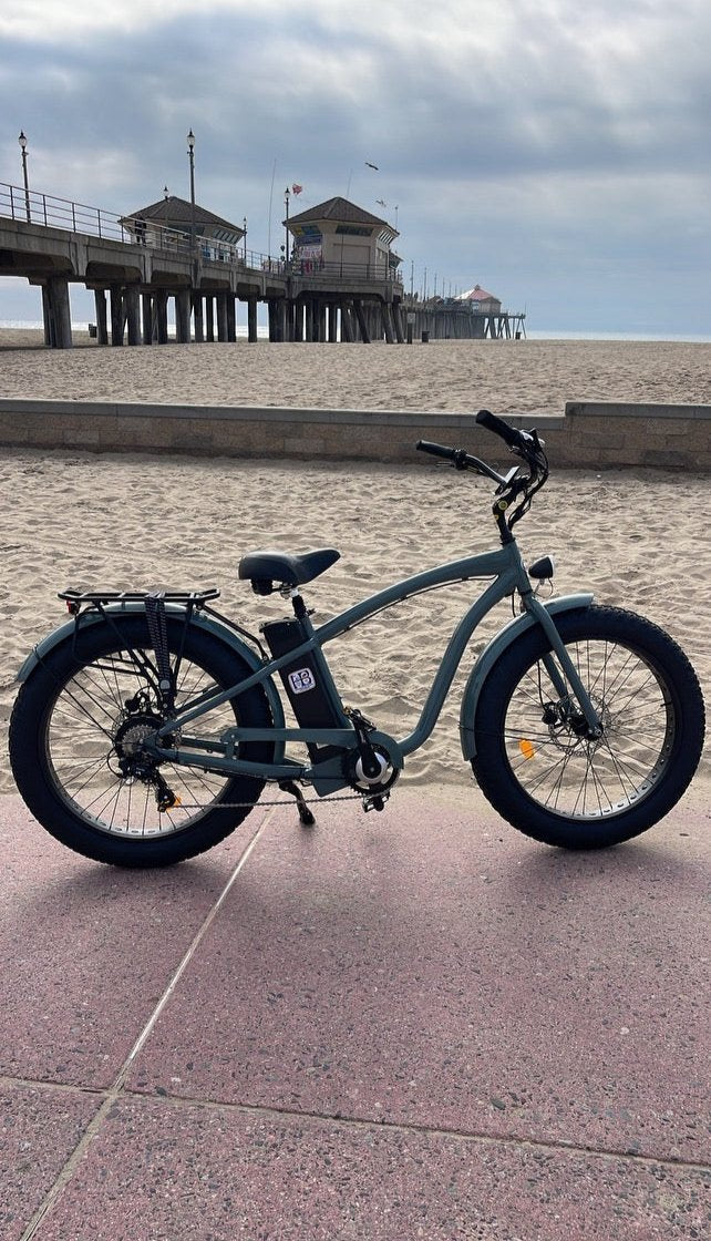 Electric Bicycle