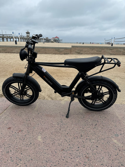 Electric Bicycle